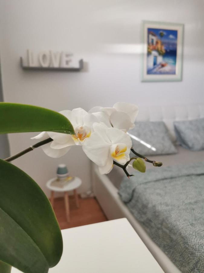 Kenzo Apartment Senj  Ngoại thất bức ảnh