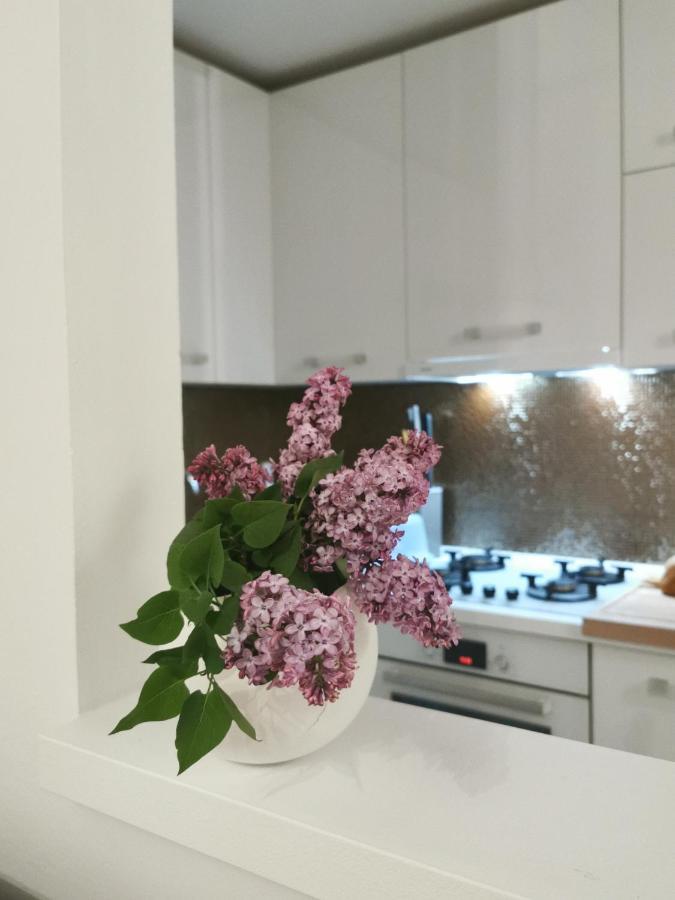 Kenzo Apartment Senj  Ngoại thất bức ảnh